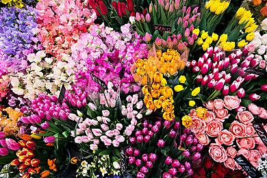 为什么《生化危机9》没有萝丝？舅舅：她当时只有5岁