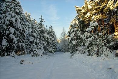 欧美3月热度收入榜：《绝地潜兵2》玩家数持续攀升